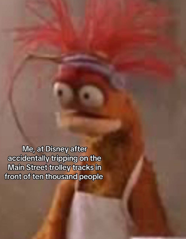 Me, at Disney after accidentally tripping on the Main Street trolley tracks in front of ten thousand people