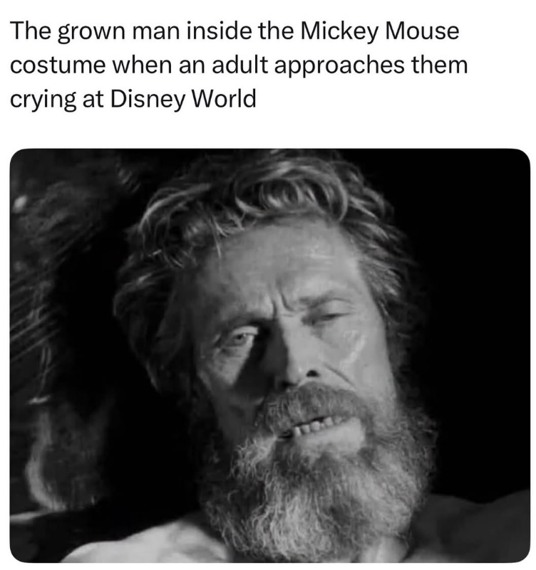 The grown man inside the Mickey Mouse costume when an adult approaches them crying at Disney World