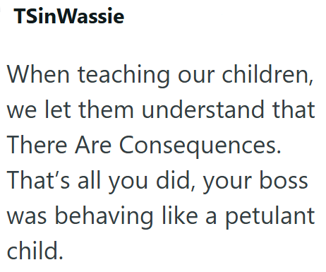 TSinWassie When teaching our children, we let them understand that There Are Consequences. That's all you did, your boss was behaving like a petulant child.