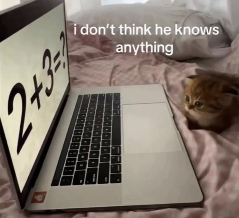 2+3 i don't think he knows anything