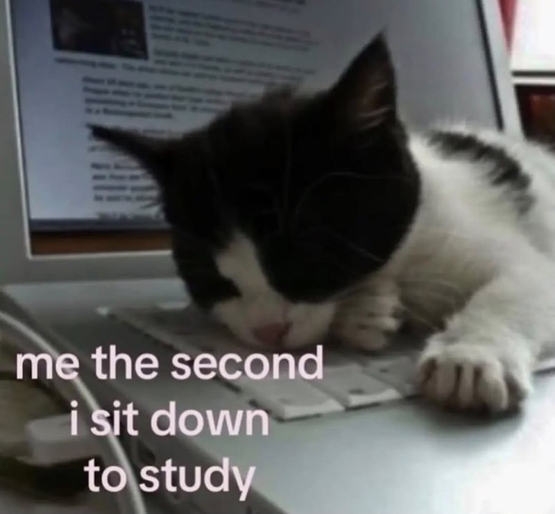me the second i sit down to study