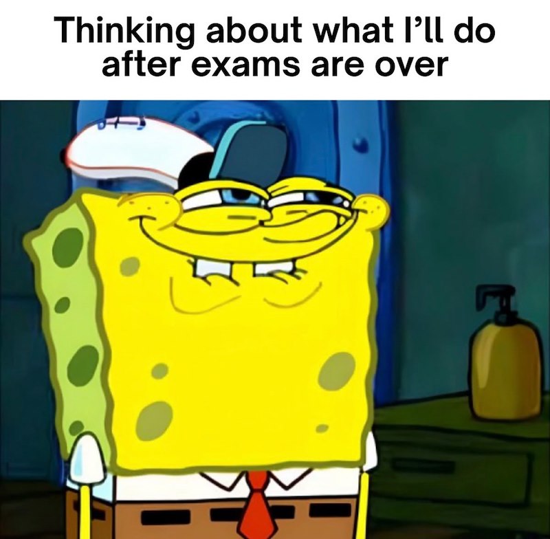 Thinking about what I'll do after exams are over
