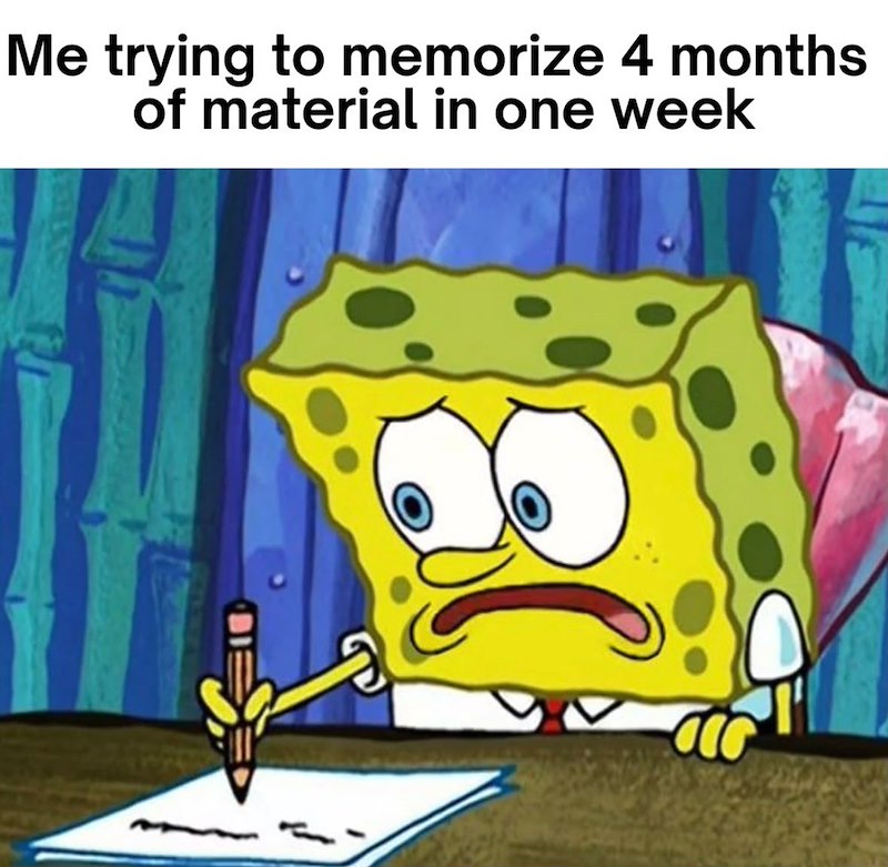 Me trying to memorize 4 months of material in one week