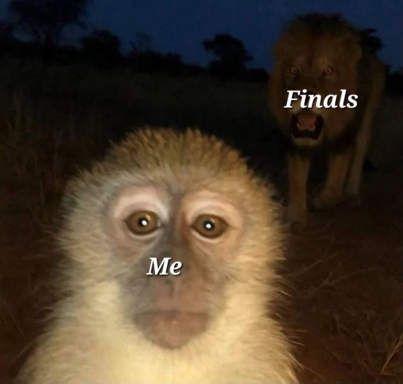 Me Finals