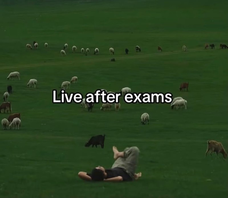 Live after exams