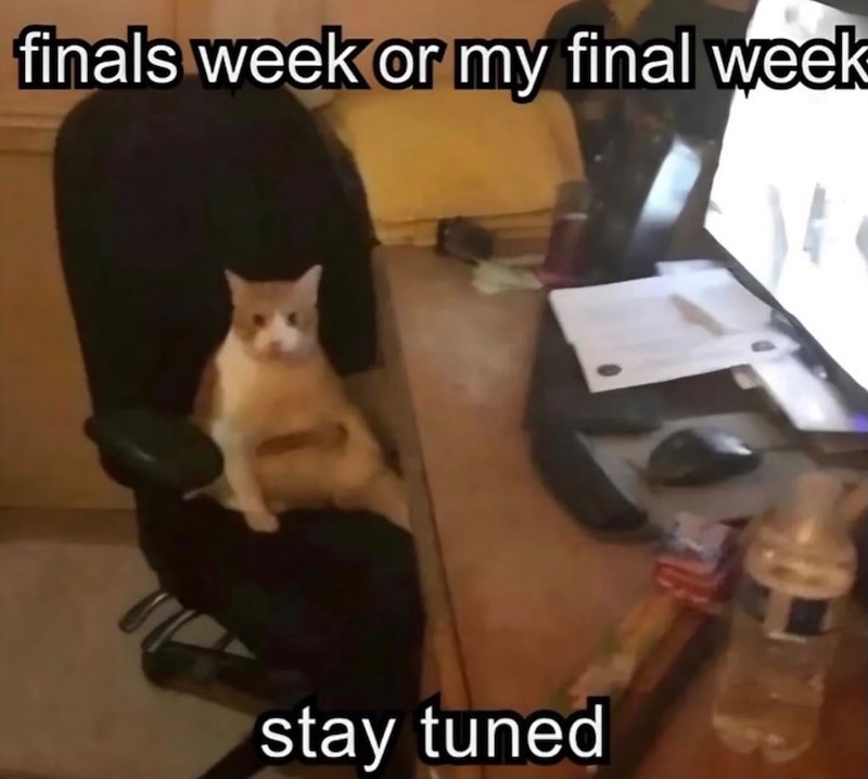 finals week or my final week stay tuned