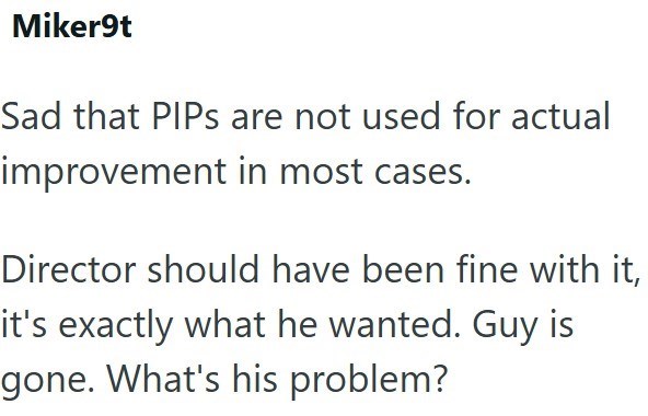 Miker9t Sad that PIPs are not used for actual improvement in most cases. Director should have been fine with it, it's exactly what he wanted. Guy is gone. What's his problem?