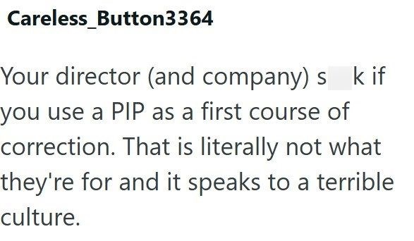 Careless_Button3364 Your director (and company) s k if you use a PIP as a first course of correction. That is literally not what they're for and it speaks to a terrible culture.
