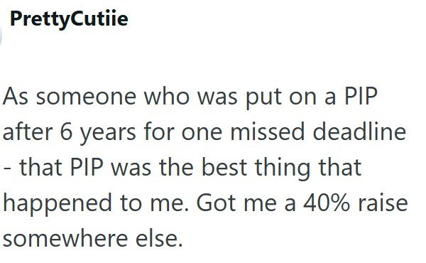 PrettyCutiie As someone who was put on a PIP after 6 years for one missed deadline - that PIP was the best thing that happened to me. Got me a 40% raise somewhere else.
