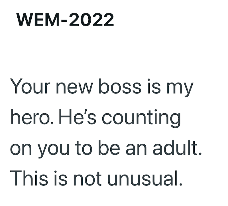 WEM-2022 Your new boss is my hero. He's counting on you to be an adult. This is not unusual.