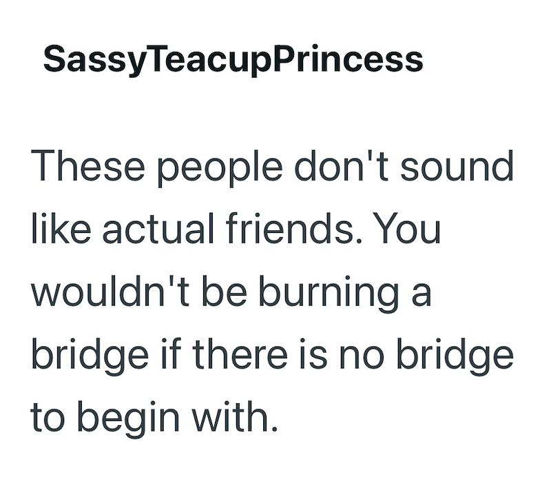 SassyTeacupPrincess These people don't sound like actual friends. You wouldn't be burning a bridge if there is no bridge to begin with.
