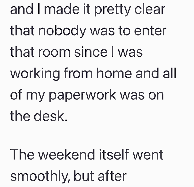 and I made it pretty clear that nobody was to enter that room since I was working from home and all of my paperwork was on the desk. The weekend itself went smoothly, but after