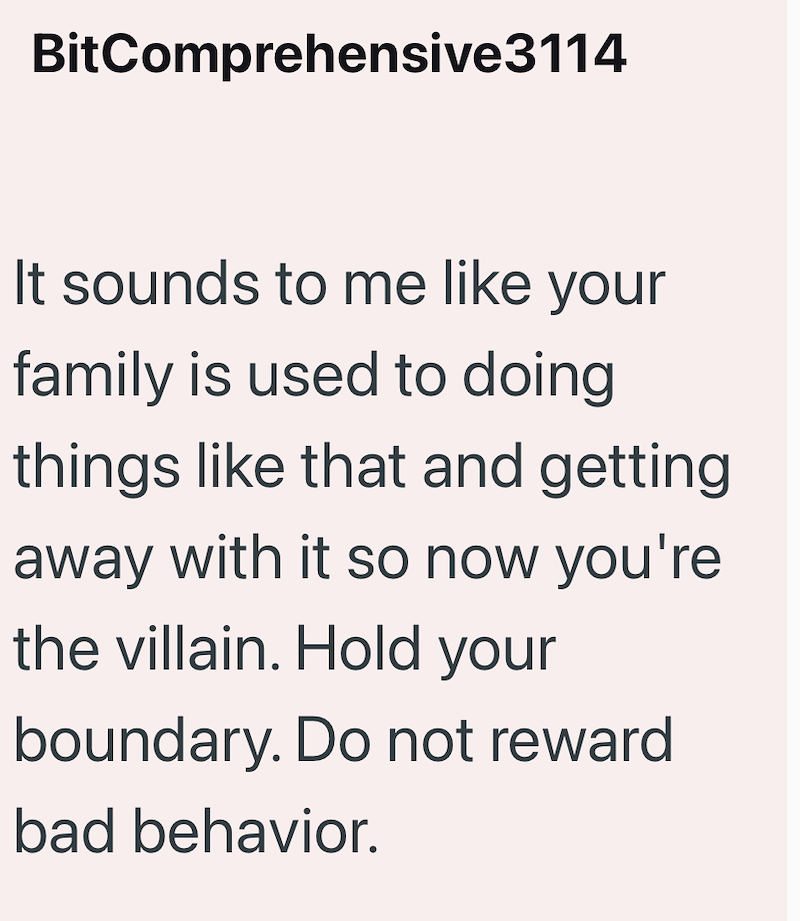 BitComprehensive3114 It sounds to me like your family is used to doing things like that and getting away with it so now you're the villain. Hold your boundary. Do not reward bad behavior.