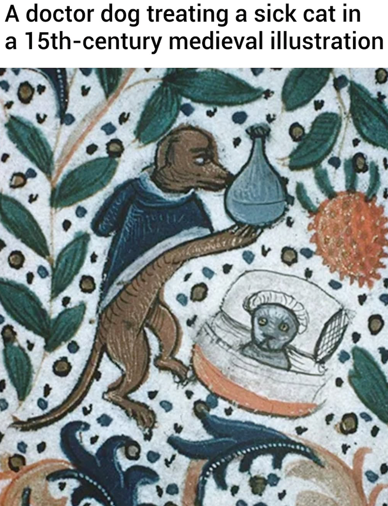 A doctor dog treating a sick cat in a 15th-century medieval illustration