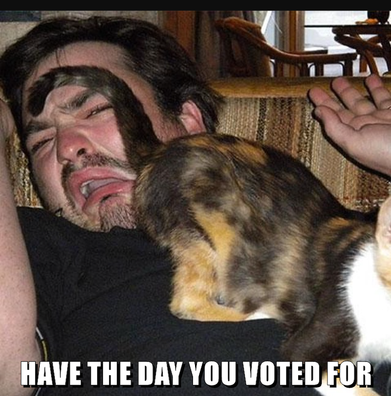 HAVE THE DAY YOU VOTED FOR