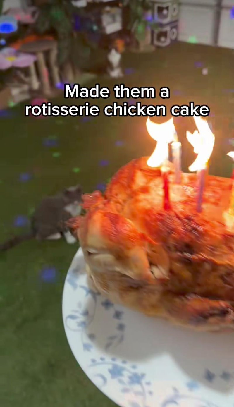 Made them a rotisserie chicken cake