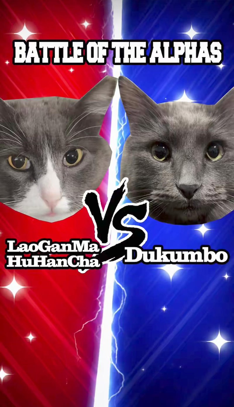 BATTLE OF THE ALPHAS LaoGanM HuHanChá Dukumbo