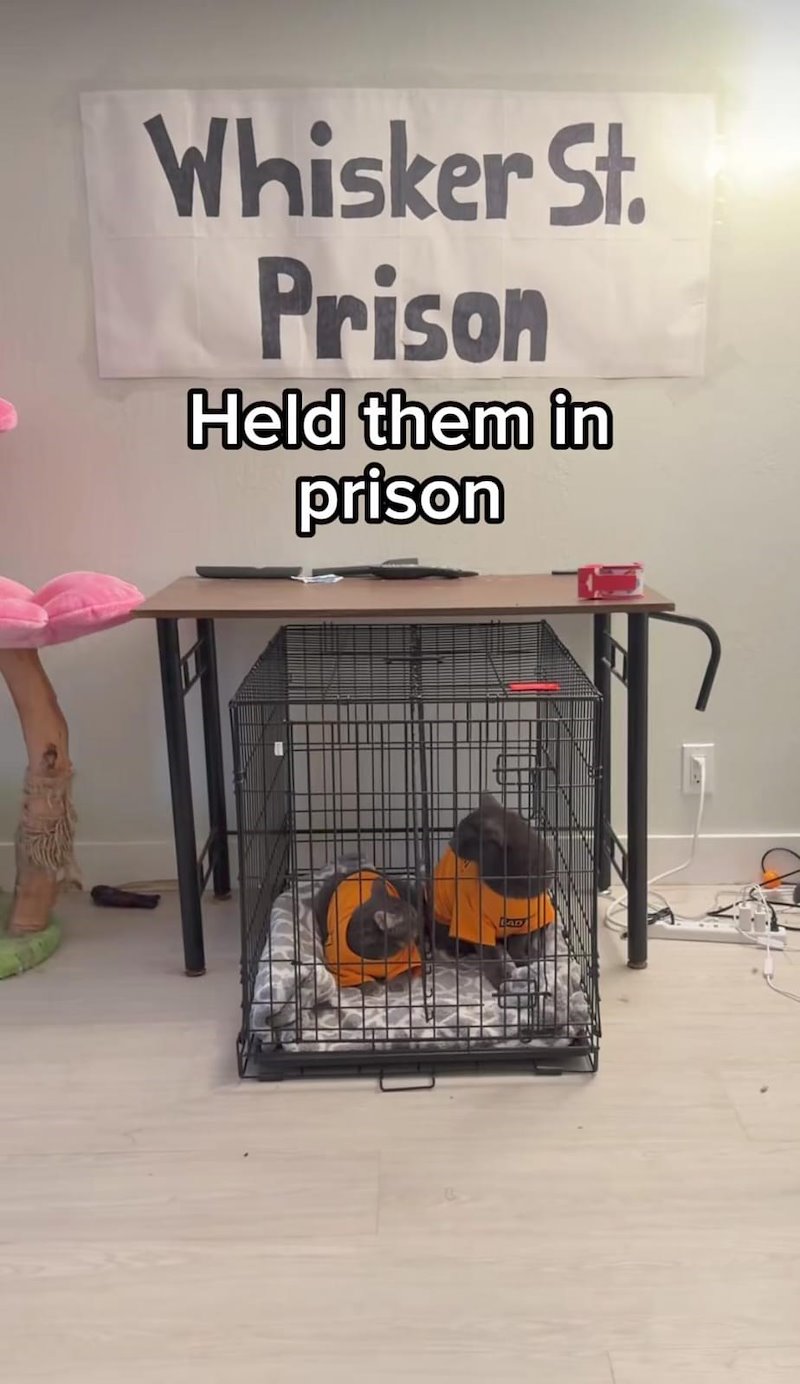 Whisker St. Prison Held them in prison AD