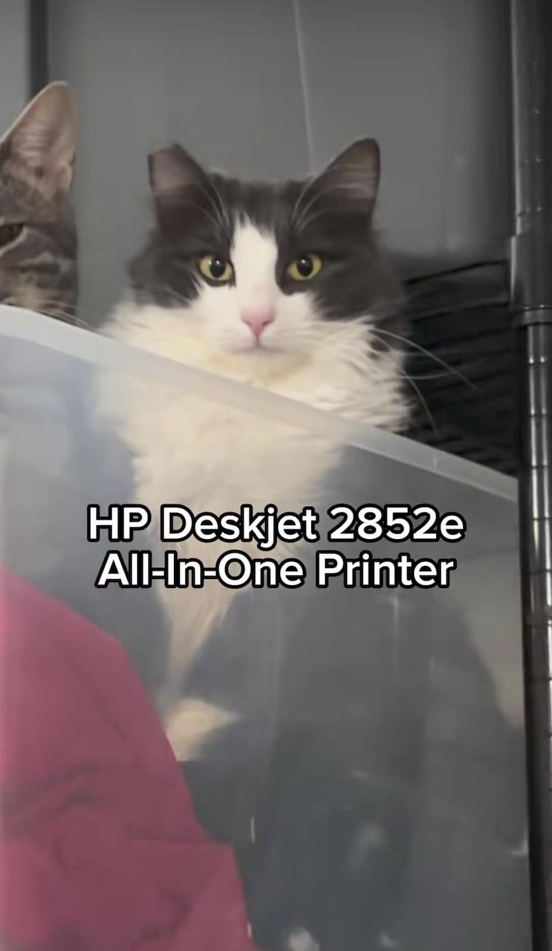 HP Deskjet 2852e All-In-One Printer