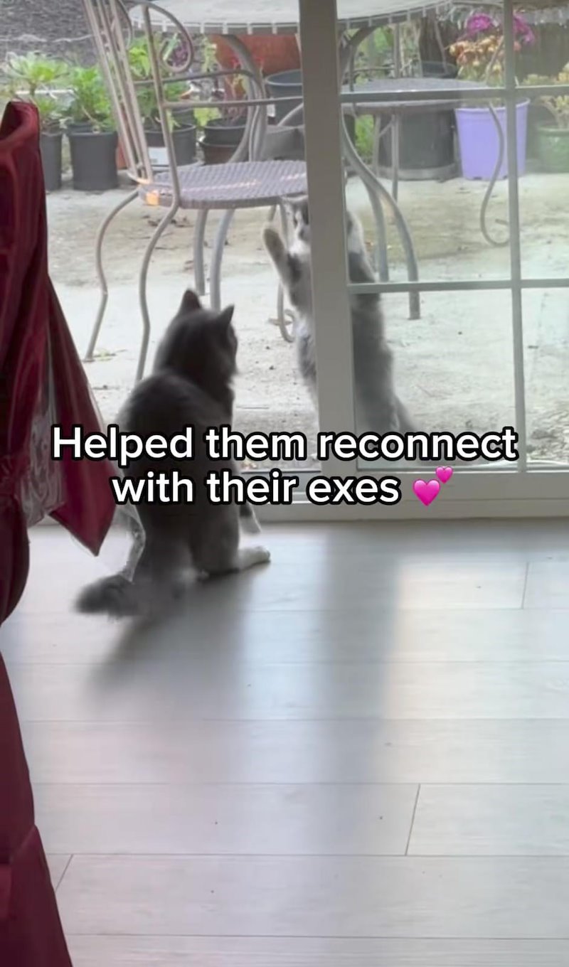 Helped them reconnect with their exes