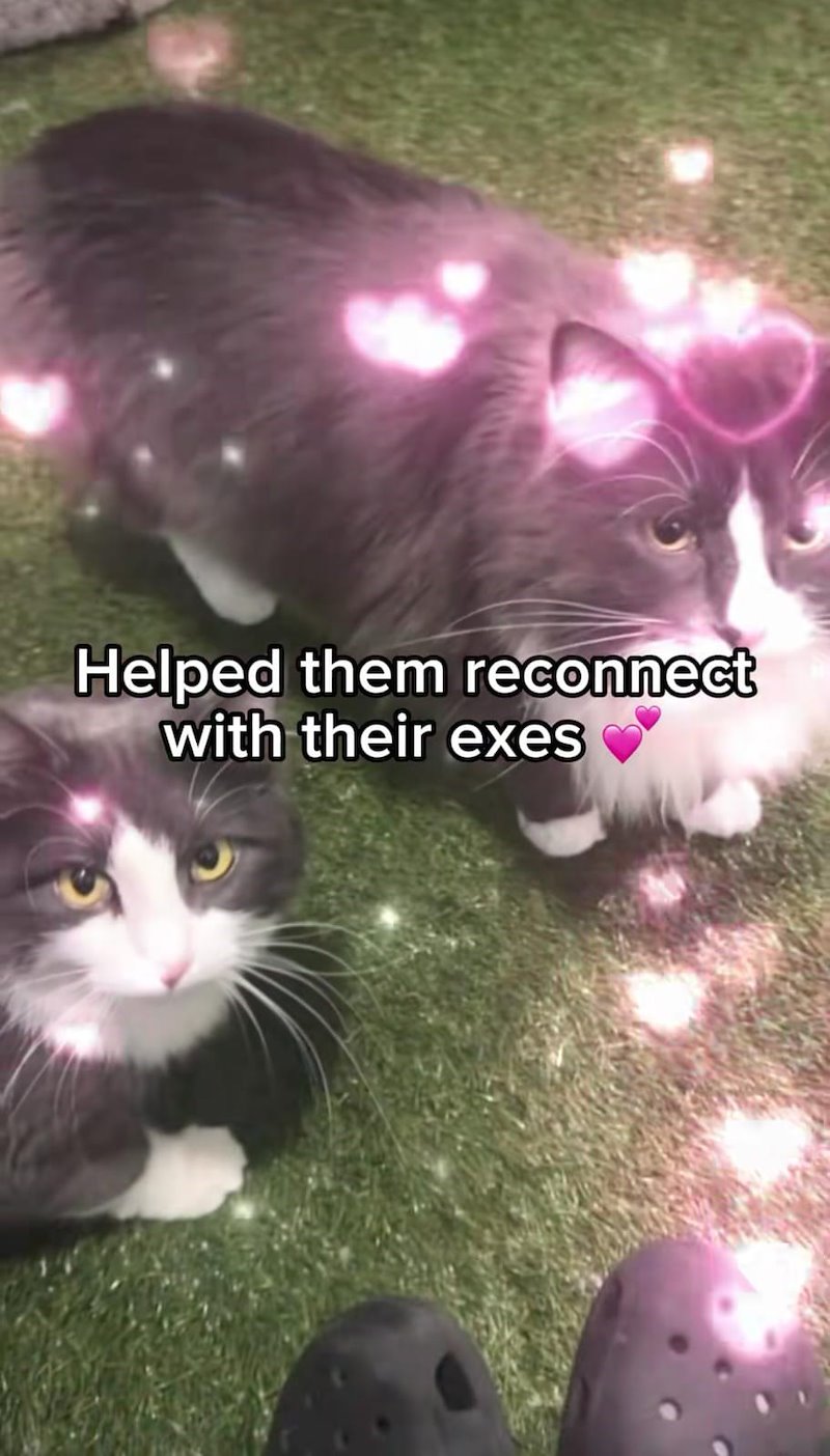 Helped them reconnect with their exes