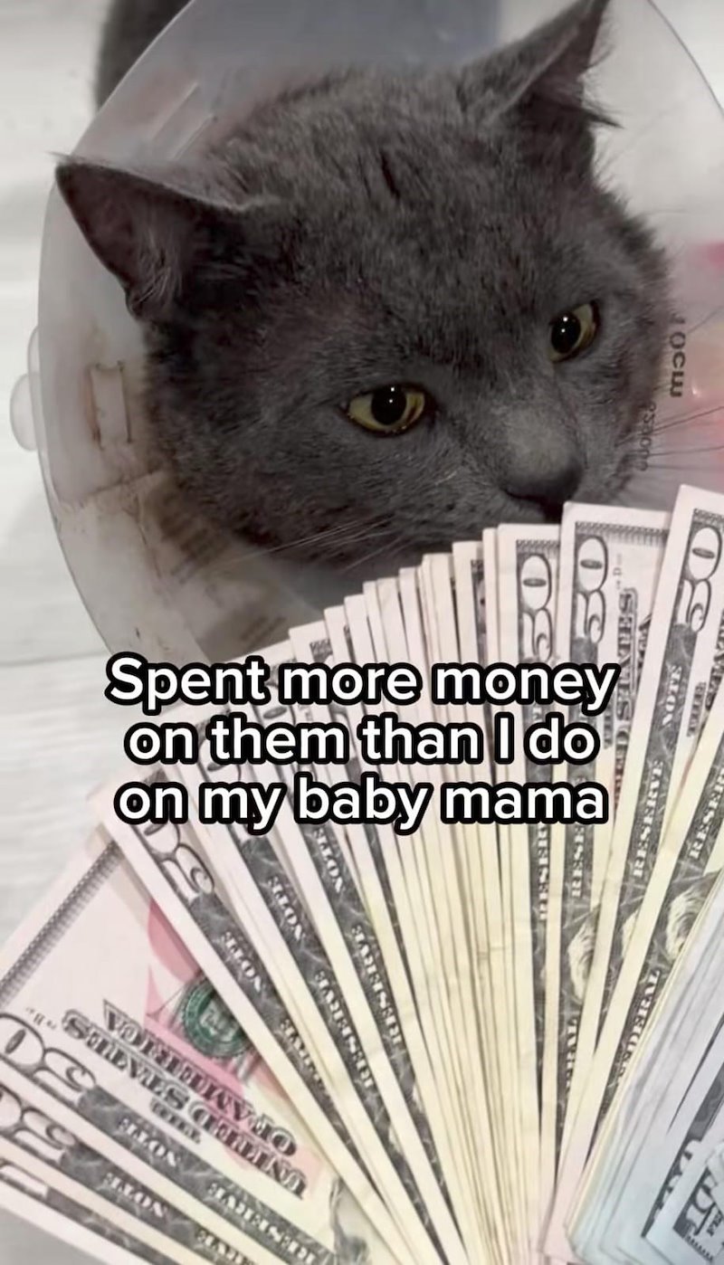 MLON 5 30 RESERVE NOTE SEVES CELINA OF AMERICA Spent more money on them than I do on my baby mama VE NOTE RESERVE NOTE RESERVE NOTE M EDERAL RESE 50 TED STATES RESERVÉ NOTE 50 STAT LOCE