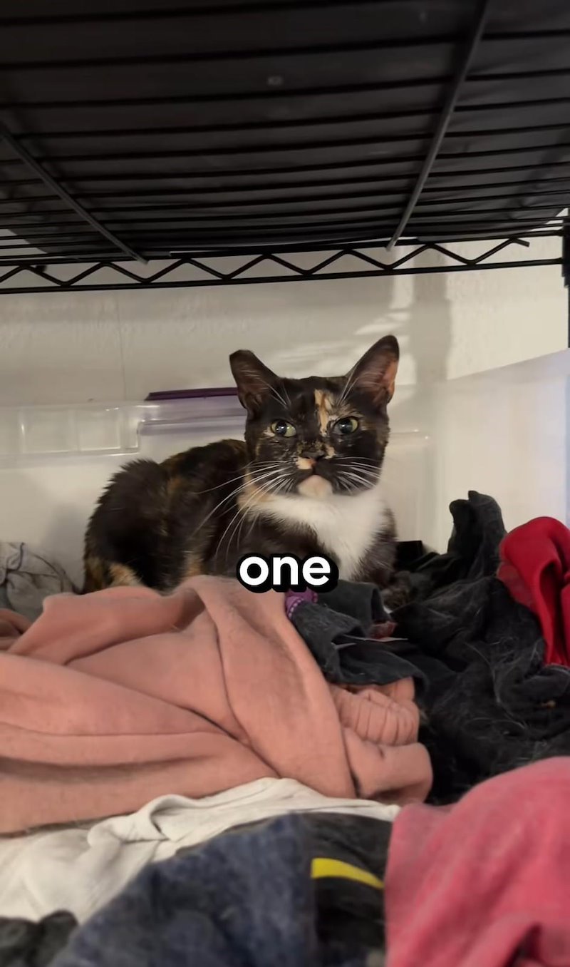 one