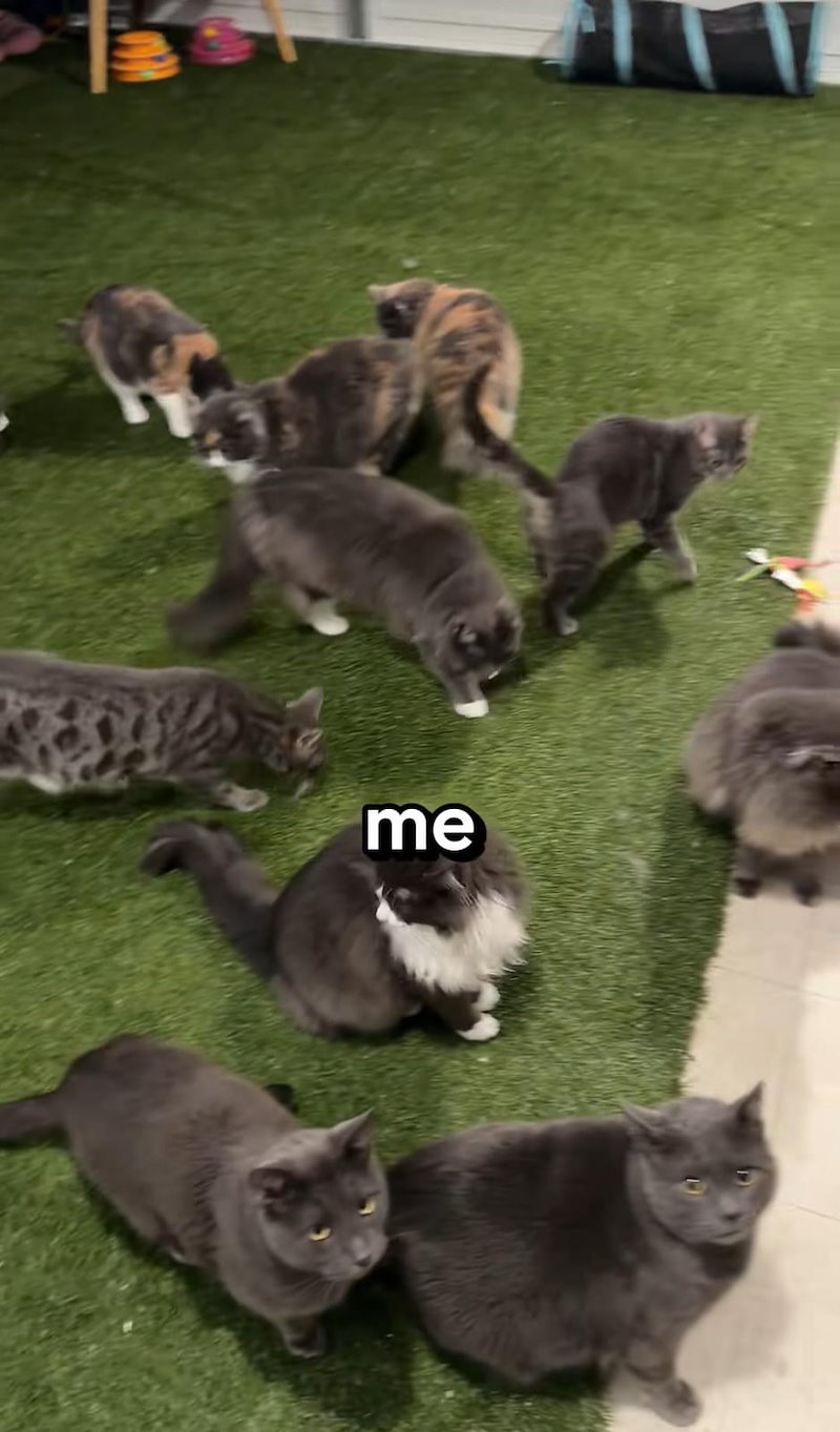 me