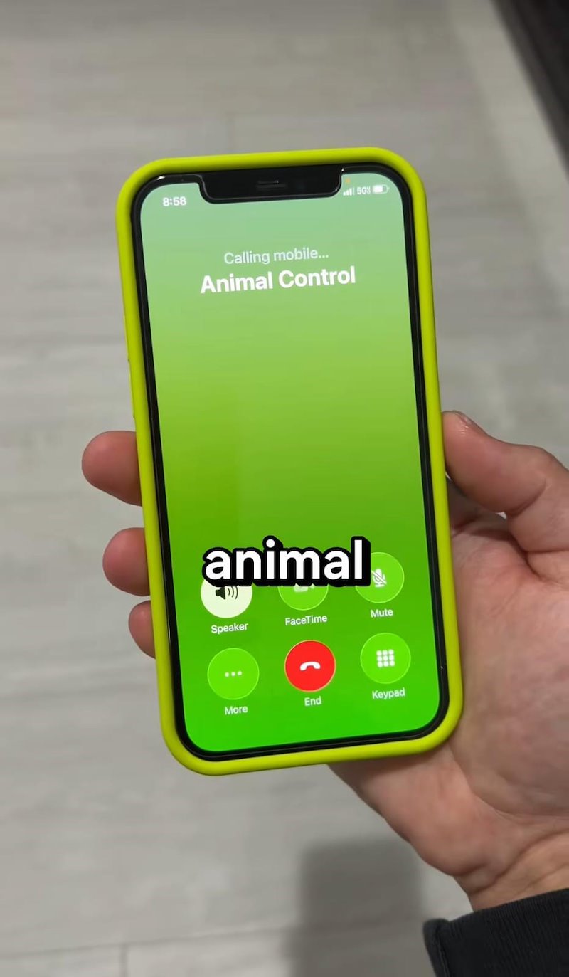 8:58 Calling mobile... Animal Control animal 50% Speaker FaceTime Mute More End Keypad