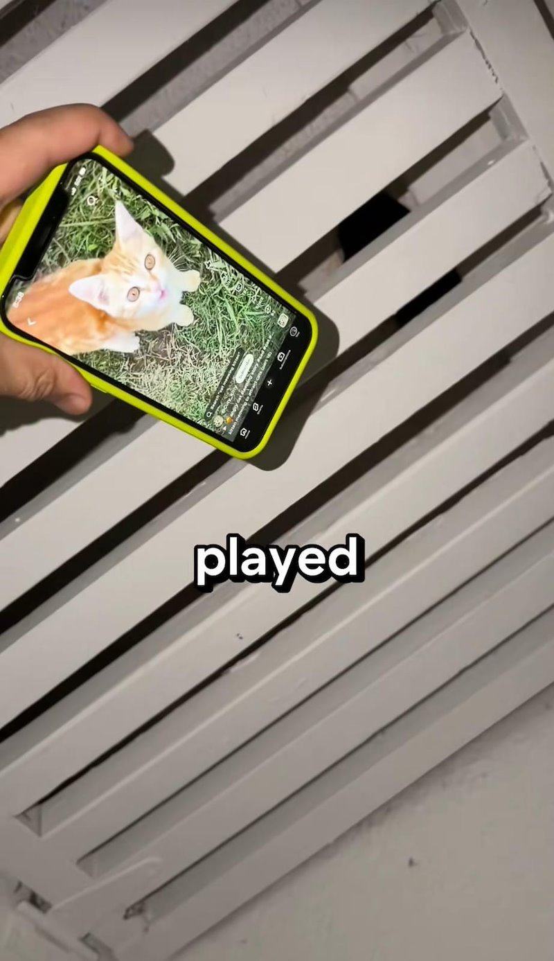 G played