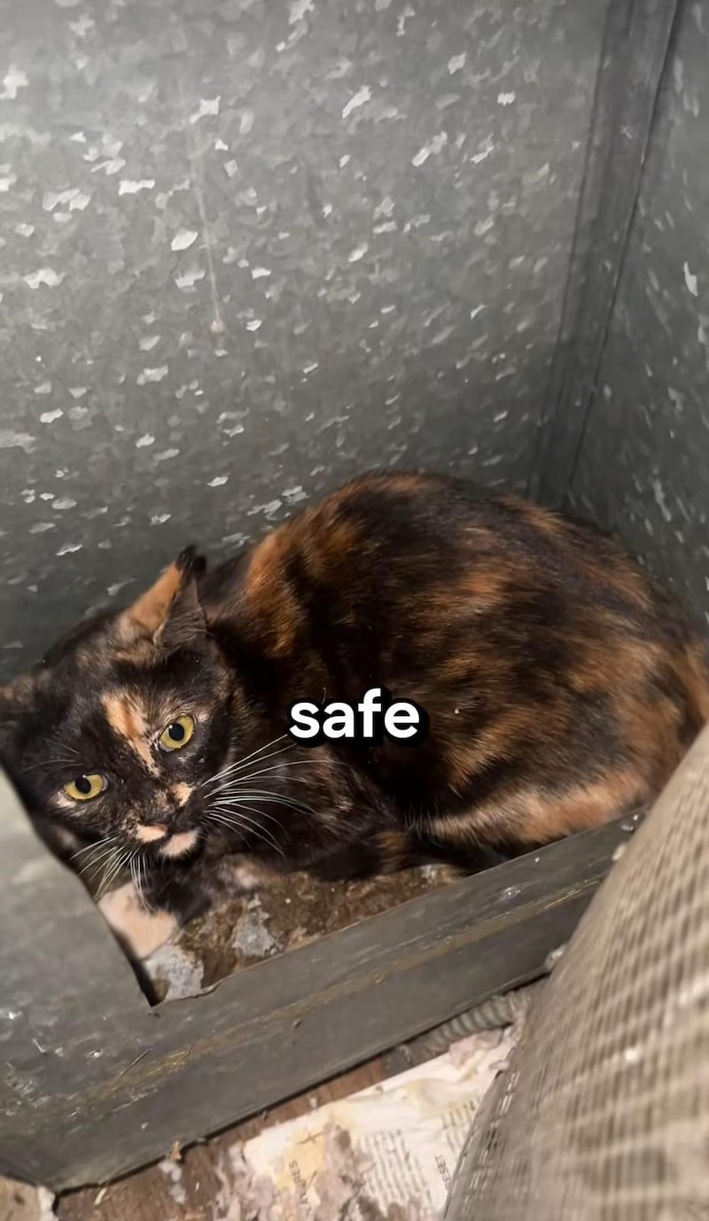 safe