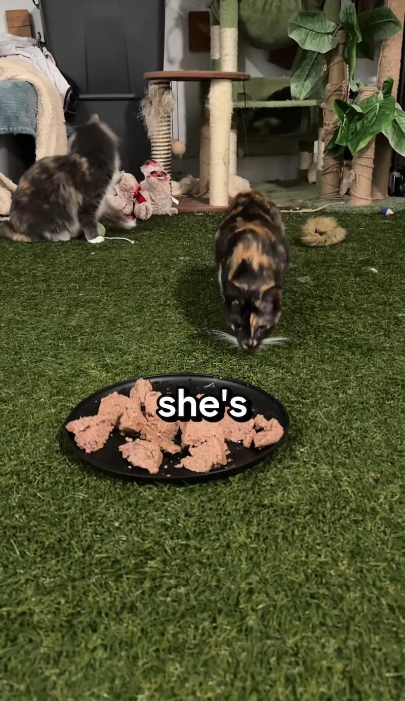 she's