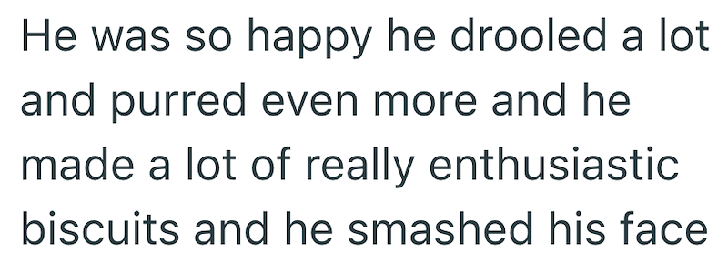 He was so happy he drooled a lot and purred even more and he made a lot of really enthusiastic biscuits and he smashed his face