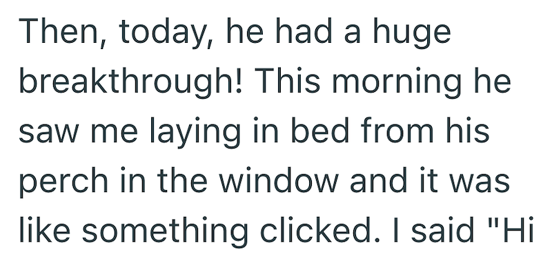 Then, today, he had a huge breakthrough! This morning he saw me laying in bed from his perch in the window and it was like something clicked. I said "Hi