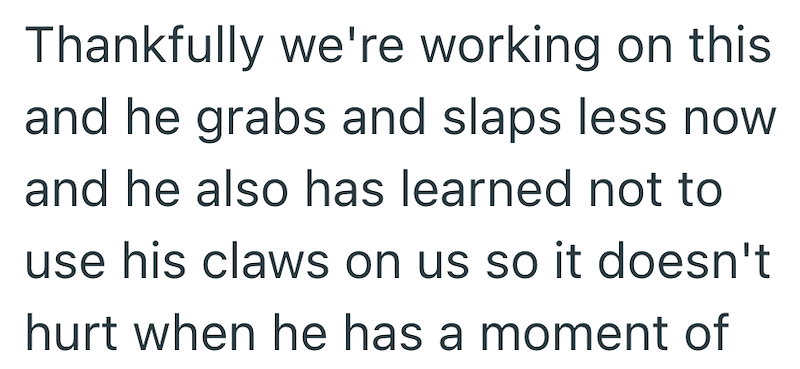 Thankfully we're working on this and he grabs and slaps less now and he also has learned not to use his claws on us so it doesn't hurt when he has a moment of