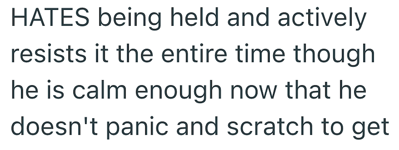 HATES being held and actively resists it the entire time though he is calm enough now that he doesn't panic and scratch to get