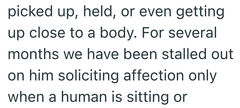 picked up, held, or even getting up close to a body. For several months we have been stalled out on him soliciting affection only when a human is sitting or