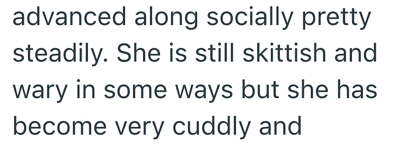 advanced along socially pretty steadily. She is still skittish and wary in some ways but she has become very cuddly and