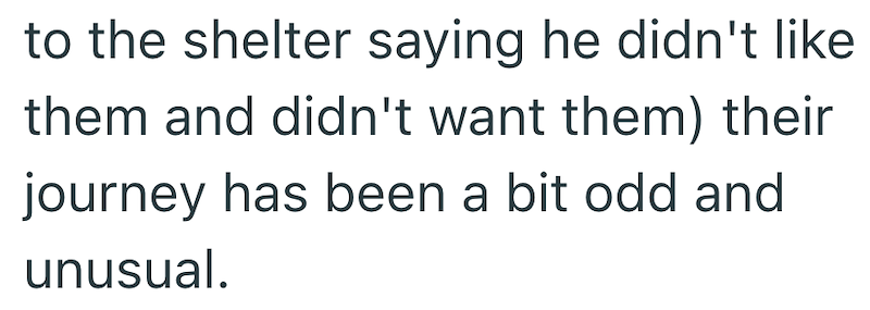 to the shelter saying he didn't like them and didn't want them) their journey has been a bit odd and unusual.