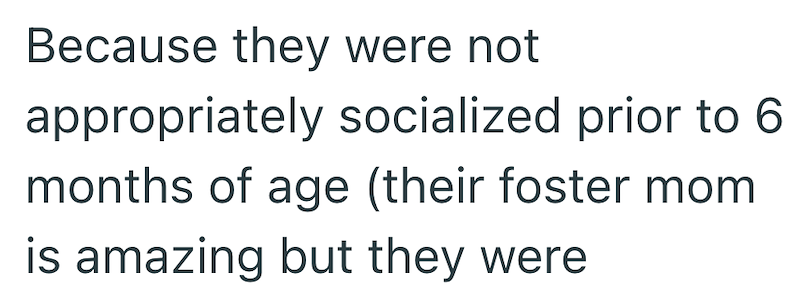 Because they were not appropriately socialized prior to 6 months of age (their foster mom is amazing but they were