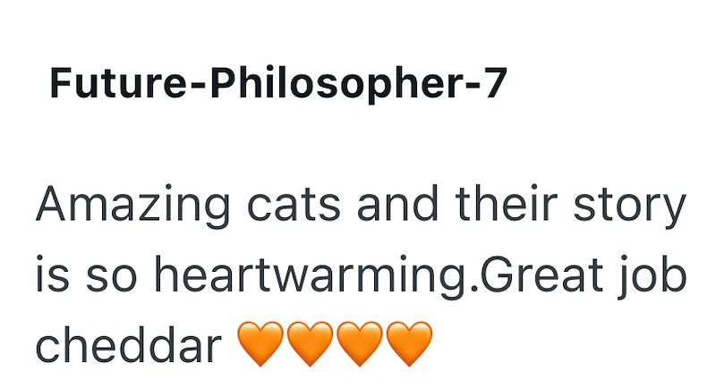 Future-Philosopher-7 Amazing cats and their story is so heartwarming.Great job cheddar