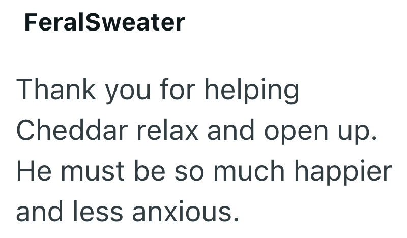 FeralSweater Thank you for helping Cheddar relax and open up. He must be so much happier and less anxious.