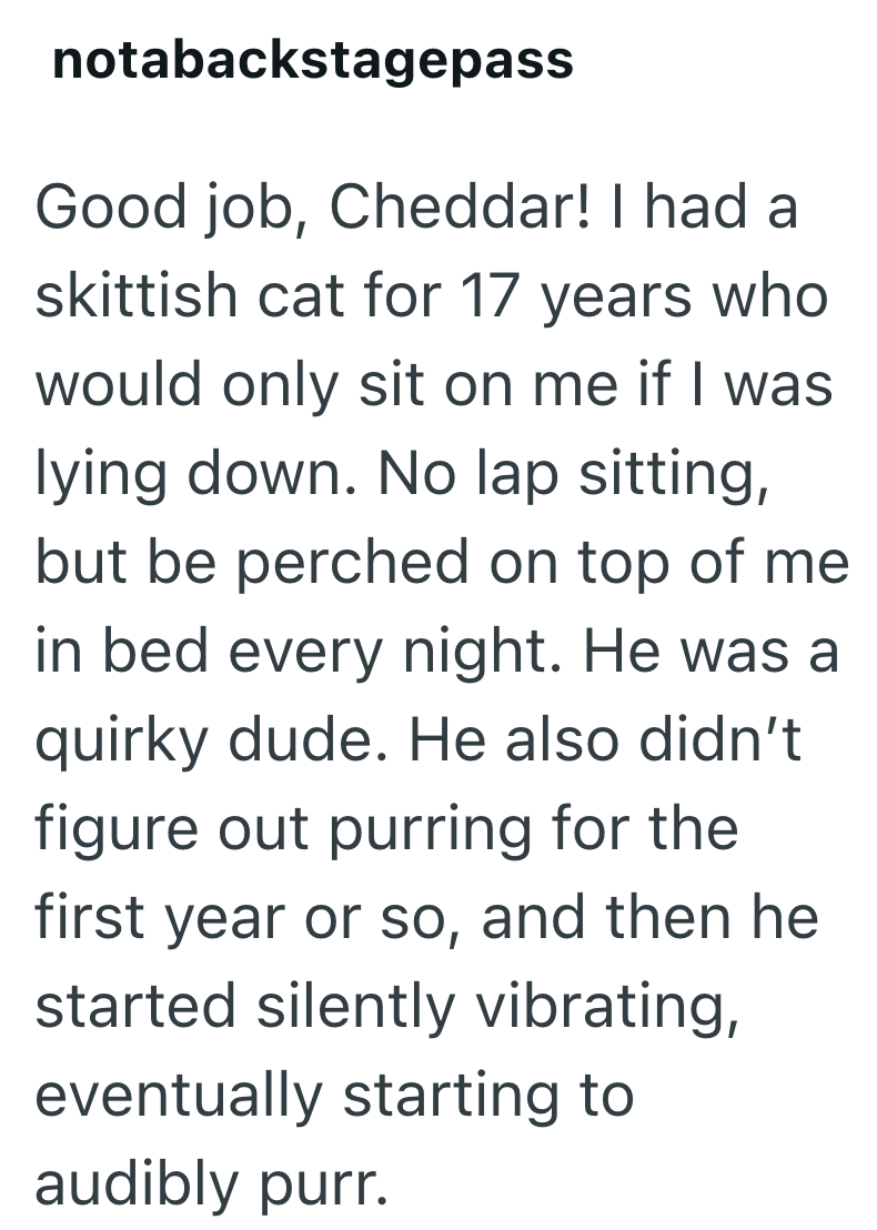 notabackstagepass Good job, Cheddar! I had a skittish cat for 17 years who would only sit on me if I was lying down. No lap sitting, but be perched on top of me in bed every night. He was a quirky dude. He also didn't figure out purring for the first year or so, and then he started silently vibrating, eventually starting to audibly purr.