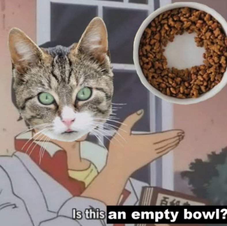 Is this an empty bowl?