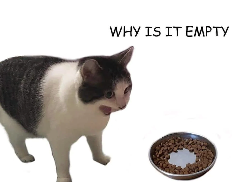 WHY IS IT EMPTY