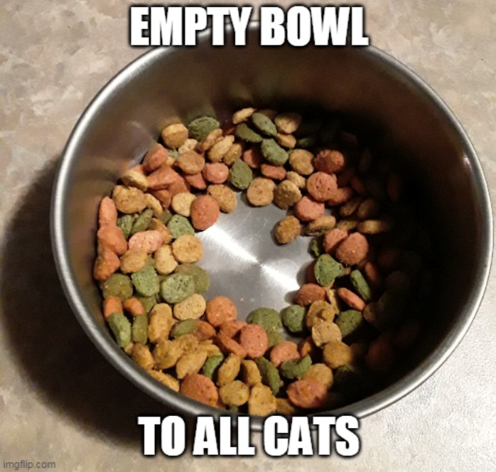 EMPTY BOWL TO ALL CATS imgflip.com