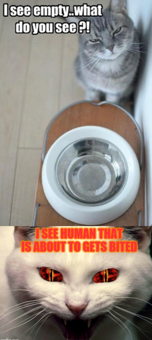 I see empty.what do you see?! I SEE HUMAN THAT IS ABOUT TO GETS BITED.