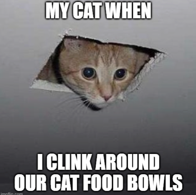 MY CAT WHEN I CLINK AROUND OUR CAT FOOD BOWLS imaflin.com