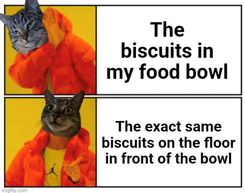 imgflip.com The biscuits in my food bowl The exact same biscuits on the floor in front of the bowl
