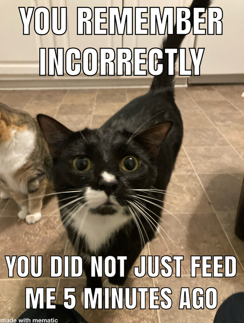 YOU REMEMBER INCORRECTLY YOU DID NOT JUST FEED ME 5 MINUTES AGO made with mematic